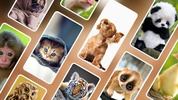Cute Animal Wallpapers 4K screenshot 6