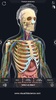 Human Anatomy screenshot 12
