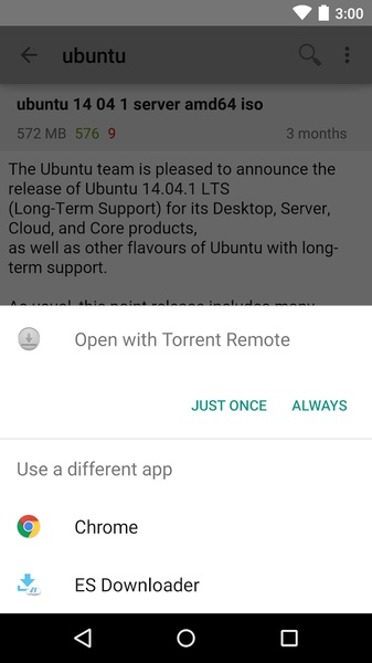 Torrent Search - Preview 9