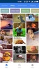 GIF - Trending GIF, GIF Search screenshot 5