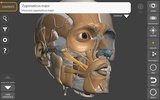 3D Anatomy for the Artist screenshot 9