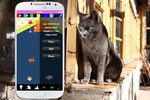 Cat Care Virtual Pet screenshot 3