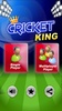Cricket King screenshot 4