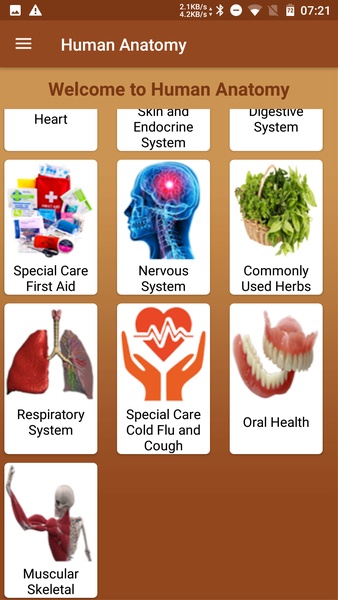 Human Anatomy - Preview 6