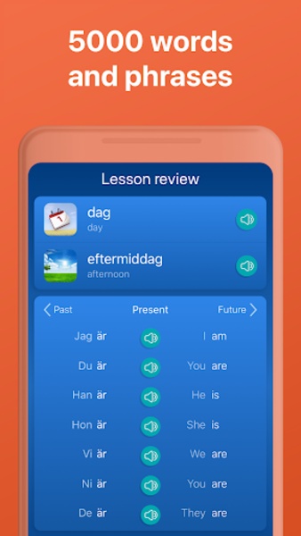 Swedish - Preview 11