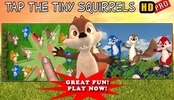 Tap The Tiny Squirrels HD Pro screenshot 12