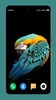 Parrot Wallpapers 4K screenshot 13