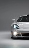 Top Themes Porsche Carrera GT screenshot 5