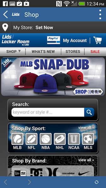 Lids - Preview 3