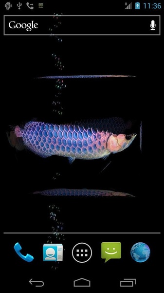 Arowana Free - Preview 5