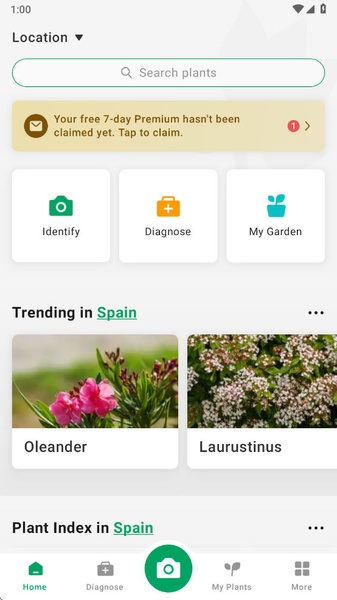 PictureThis - Preview 5