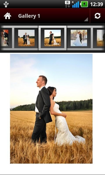 Wedding Portrait Posing Guide - Preview 1