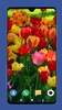 Beautiful Spring Wallpaper 4K screenshot 8