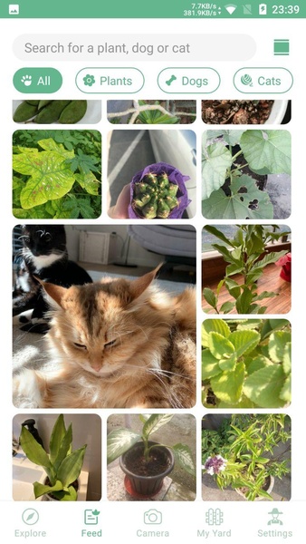 NatureID - Preview 11