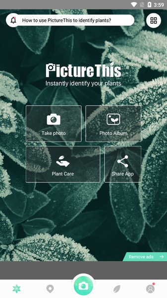 PictureThis for Android - Download the APK from Uptodown