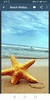 Beach Wallpapers screenshot 3