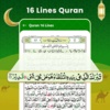 Ai Quran screenshot 8