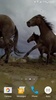 Wild Horses Live Wallpaper screenshot 8