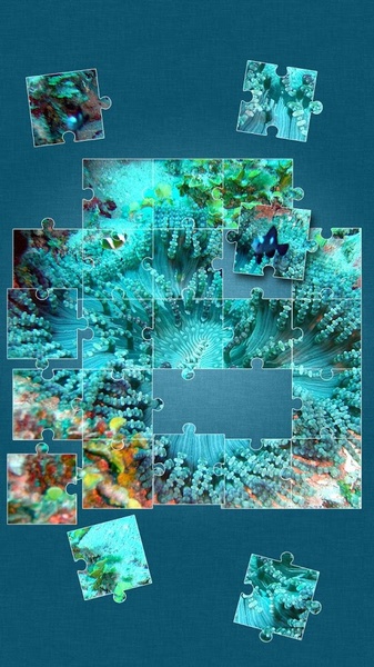 Under the Sea Jigsaw Puzzles - Preview 3