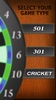 Professional Darts 3D screenshot 6