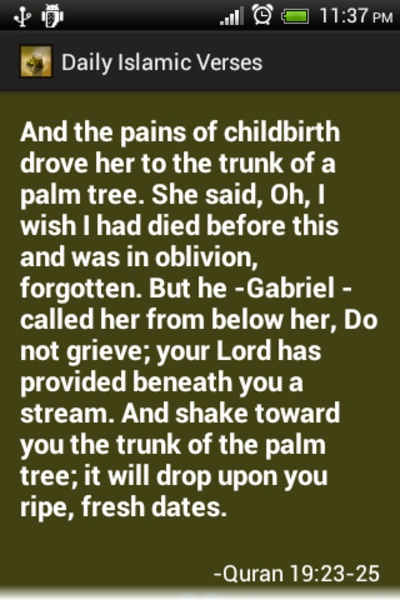 Daily Islamic Verses - Preview 3