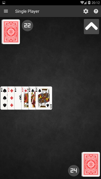 Salami Card Game - Preview 3