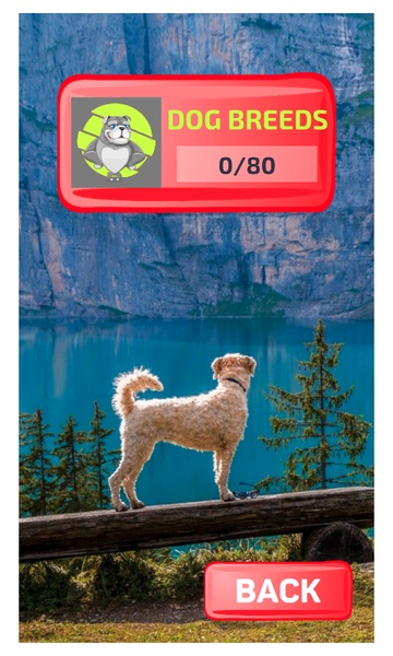 Dog Breeds Quiz - Preview 2