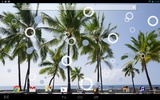 Beach Palms Live Wallpaper screenshot 1