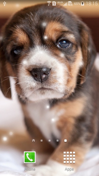 Puppies - Preview 7