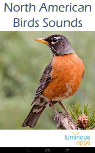North American Birds Sounds - Preview 16