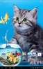 Katzen Live Wallpaper screenshot 1