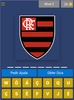 Brazilian League Logo Quiz screenshot 4