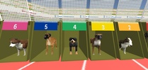 Dog Race 2019 screenshot 2