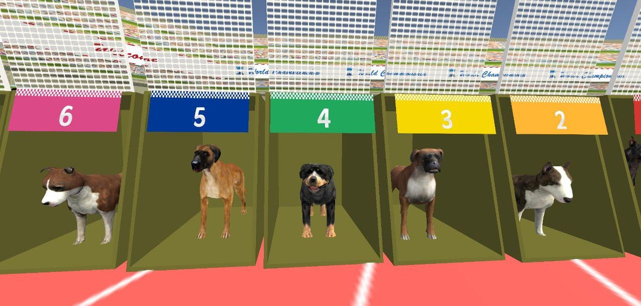 Dog Race 2019 - Preview 2