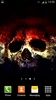 Skulls Live Wallpaper screenshot 5