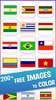 Flag Pixel Art Color by Number screenshot 5