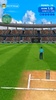 Cricket Blitz screenshot 10