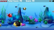 Frenzy Piranha Fish World Game screenshot 8