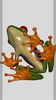 3D Frog Skeleton screenshot 13