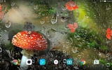 Mushrooms Live Wallpaper screenshot 1