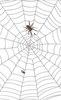 Spider screenshot 2