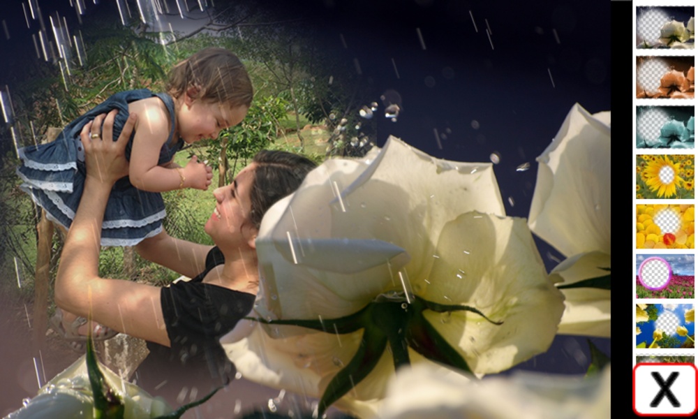 FlowersFrames - Preview 5