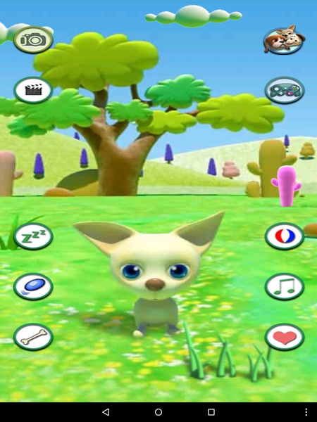 TalkingChihuahua - Preview 2
