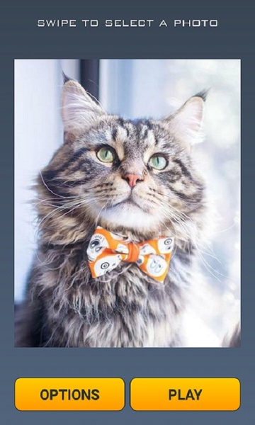 Cute Cats Puzzle - Preview 3