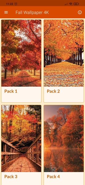 Fall Wallpaper 4K - Preview 1