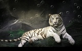 Bengal Tiger screenshot 6