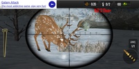 Sniper Deer hunting screenshot 6