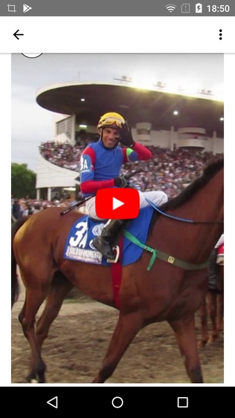 Horse Racing Latest News - Preview 3