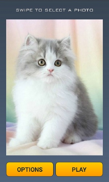 Cute Cats Puzzle - Preview 1