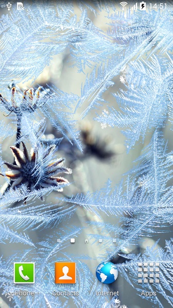 Frozen Flowers Live Wallpaper - Preview 8